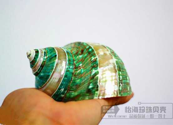 海螺墨绿色塑钢材料（海螺墨绿色塑钢材料有哪些）-图3